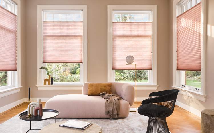 Luxaflex® Duette® Shades with Top Down Bottom Up Control