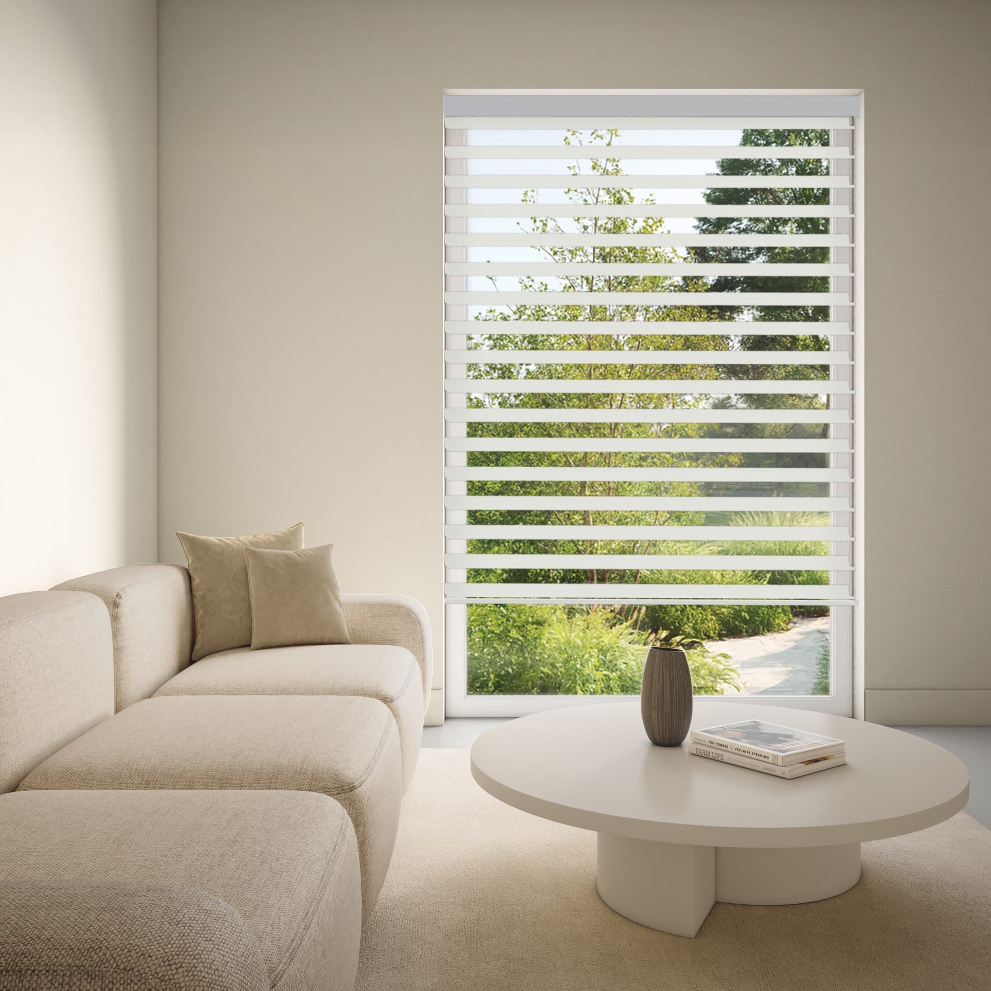 Toujours 9638 Silhouette Blinds