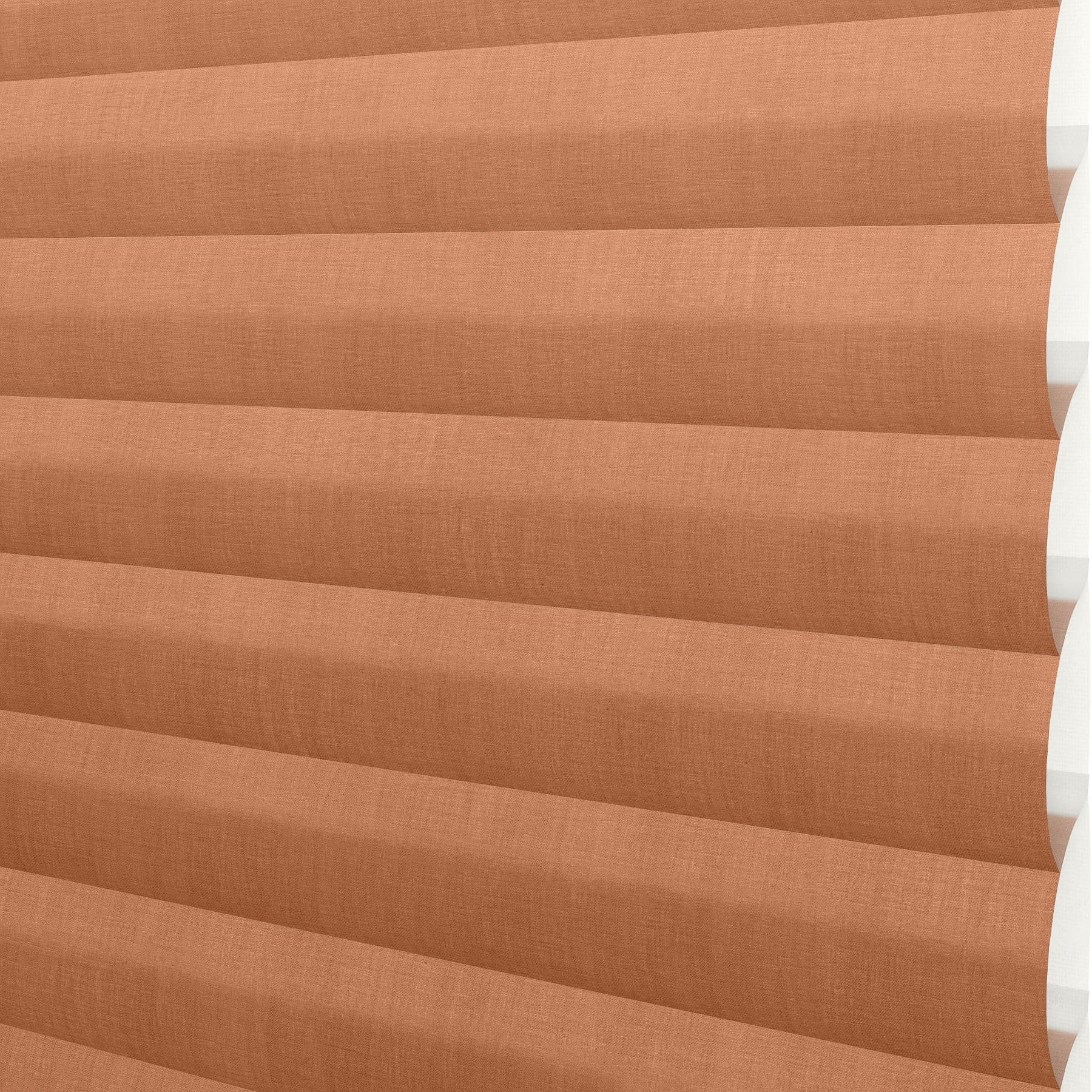 SN01 258 Sonnette™ Blinds