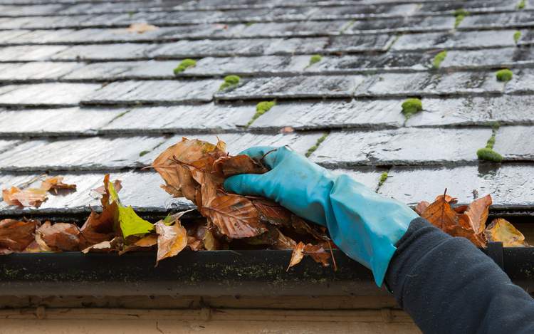 De-Clutter Your Gutters