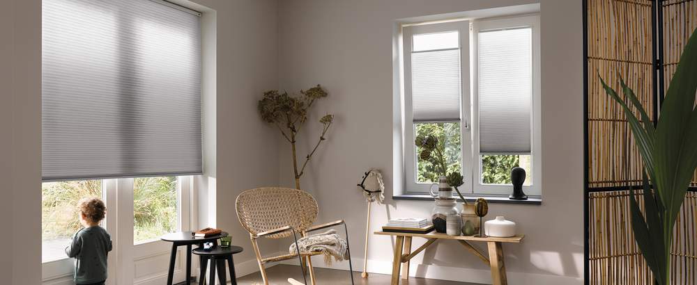 blinds for door window