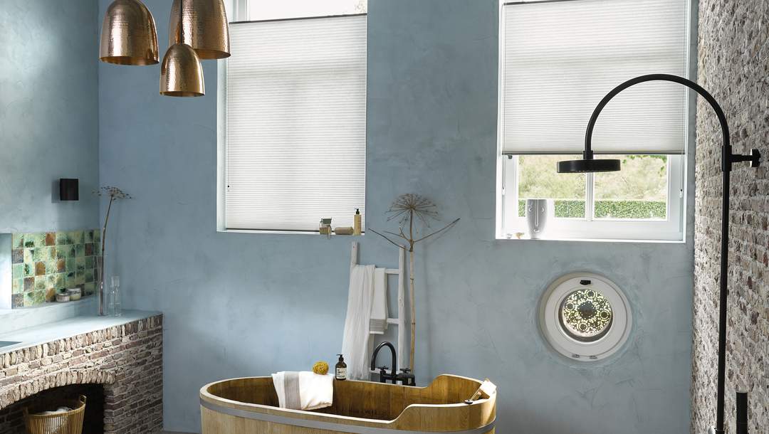 Duette® blinds