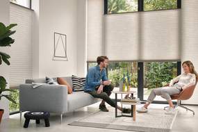 Luxaflex® Duette® Shades