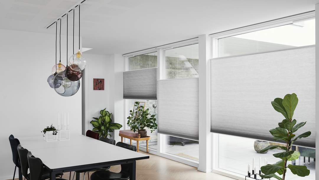 Duette® blinds