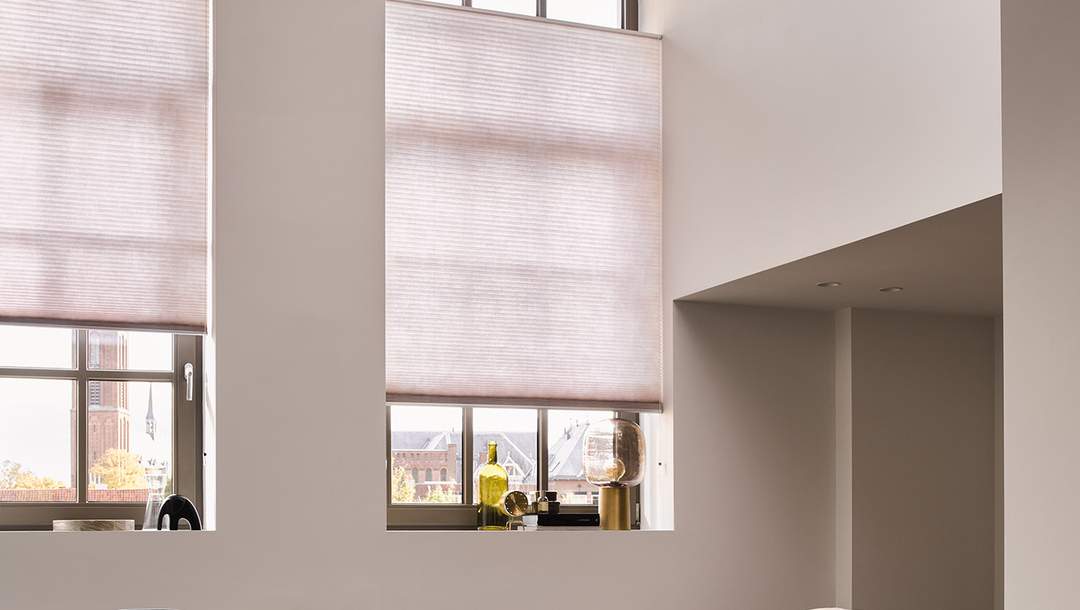 Duette® blinds