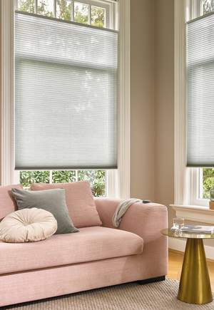 Sustainable Duette® Shades