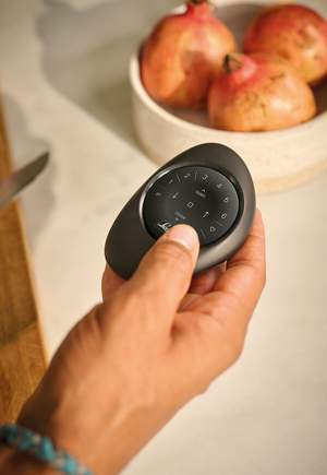 Pebble® remote control