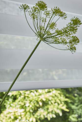 Ideas For Decorating With House Plants