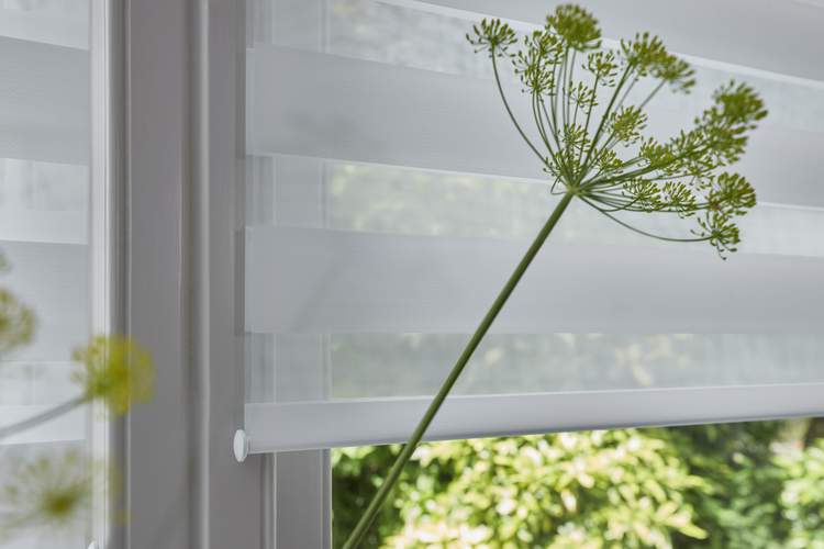 Ideas For Decorating With House Plants