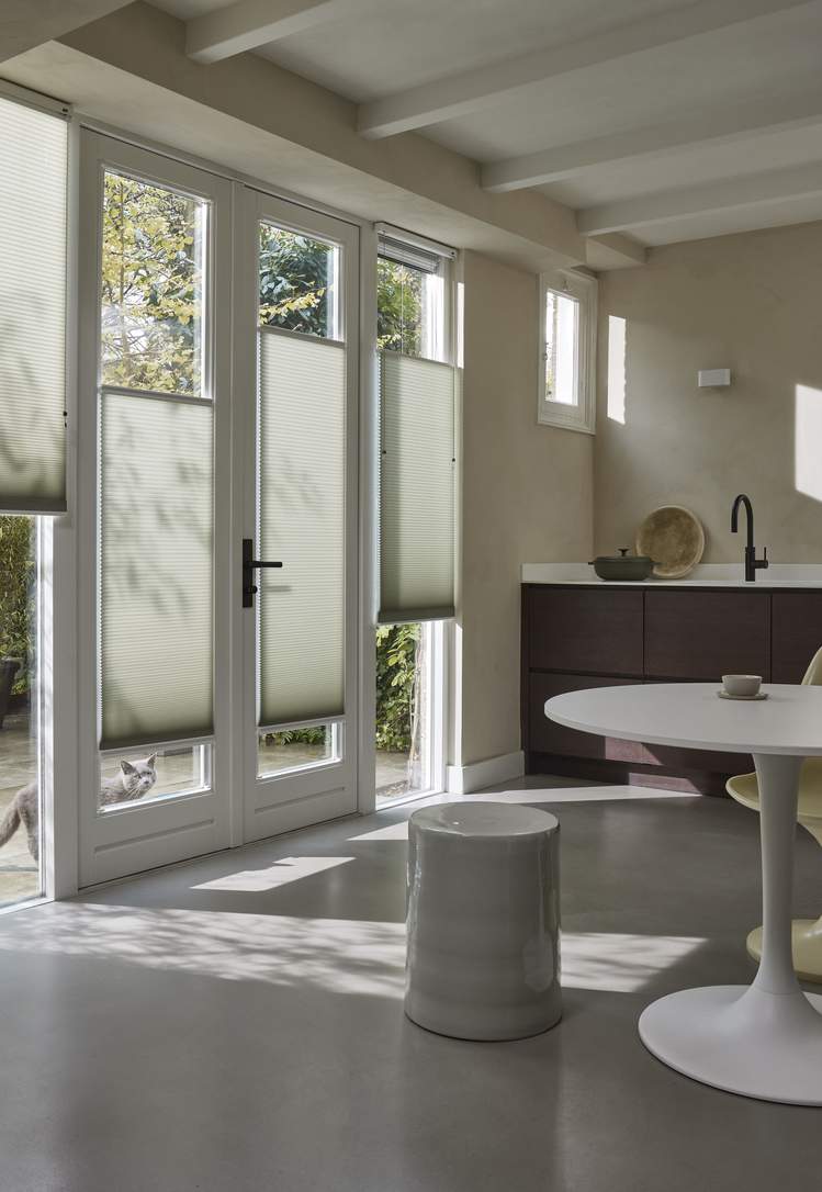 Duette® blinds
