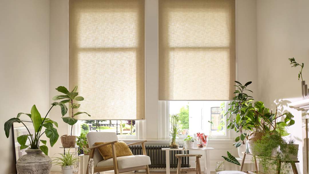 Roller Blinds Living Room