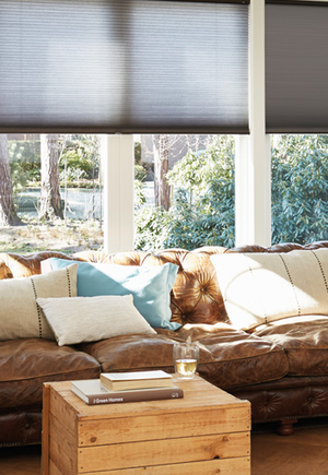 Modern Bay Window Duette® Blinds