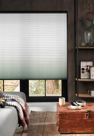 Ombre Green Blinds