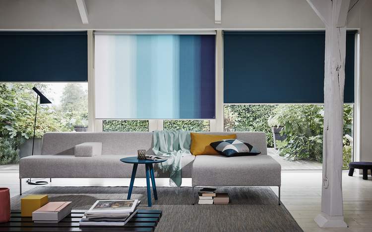 Blue roller blinds