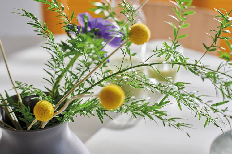 Modern Florals – Contemporary Interiors Are Coming Up Roses