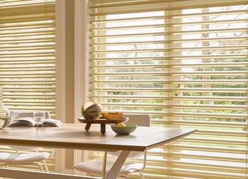 Venetian Blinds