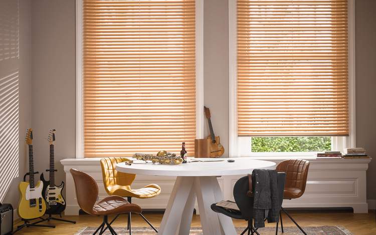 Venetian Blinds