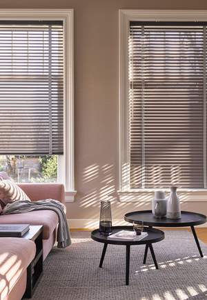 Venetian blinds - living room