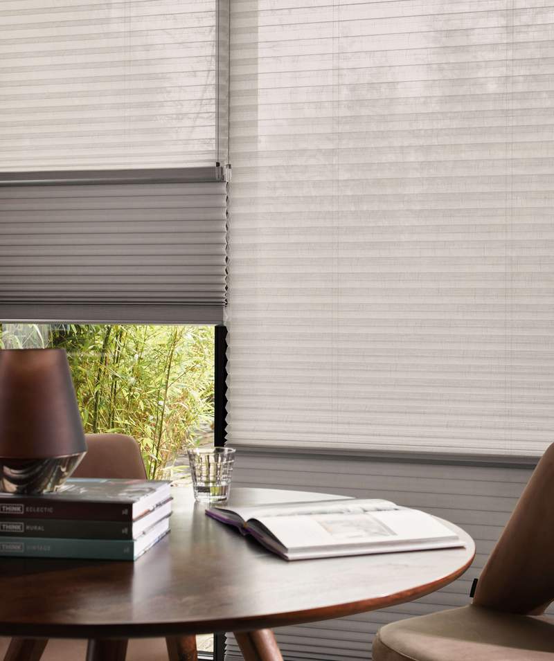 What are Day & Night blinds?