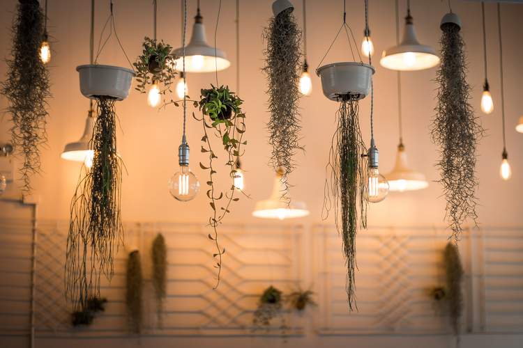 Energy Saving Ideas: Helping You Save Money On Your Energy Bills