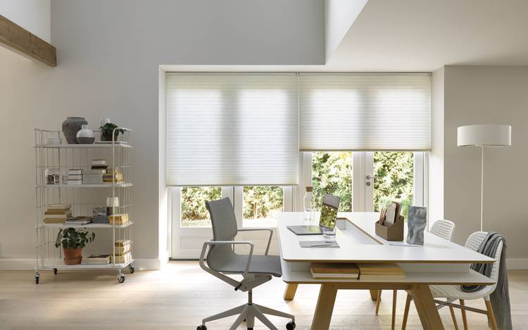 Home office blinds