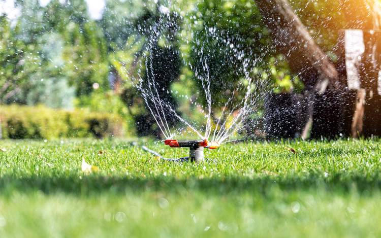 Smart sprinkler