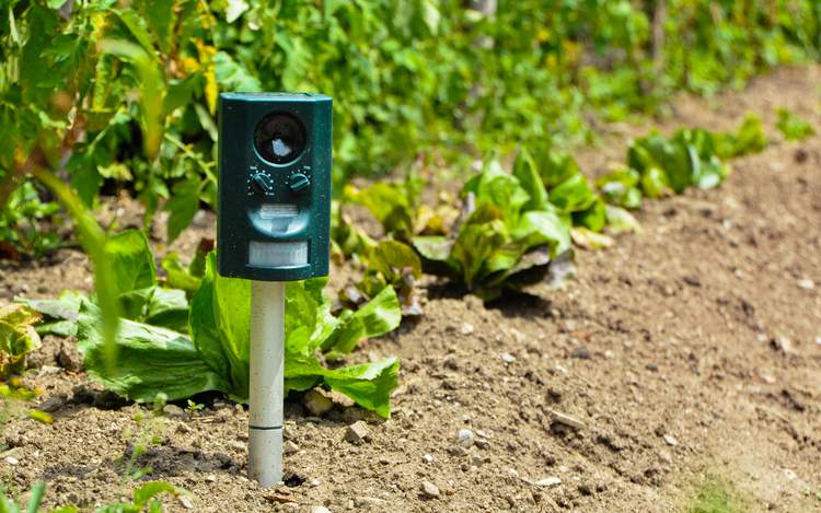 Soil sensor