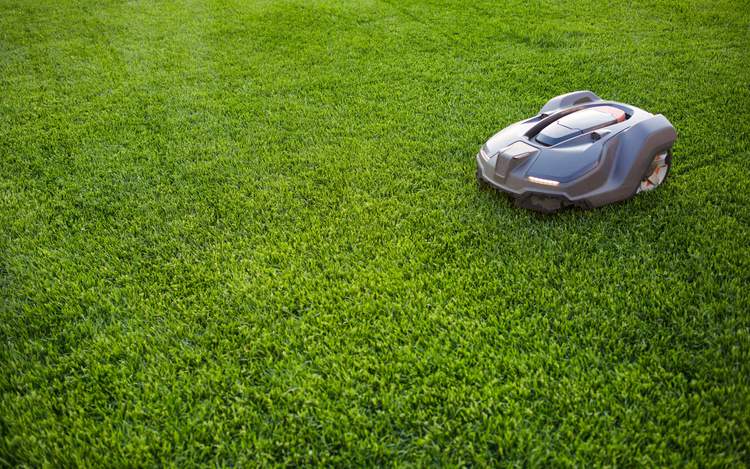 Robotic lawn mower