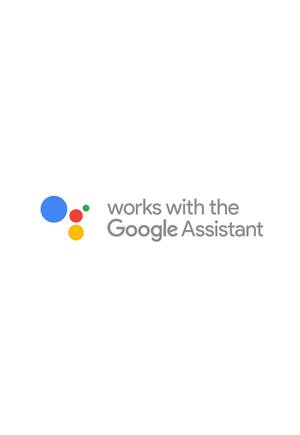 Google Assistant