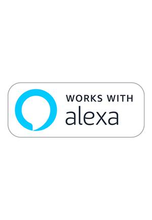 Amazon Alexa