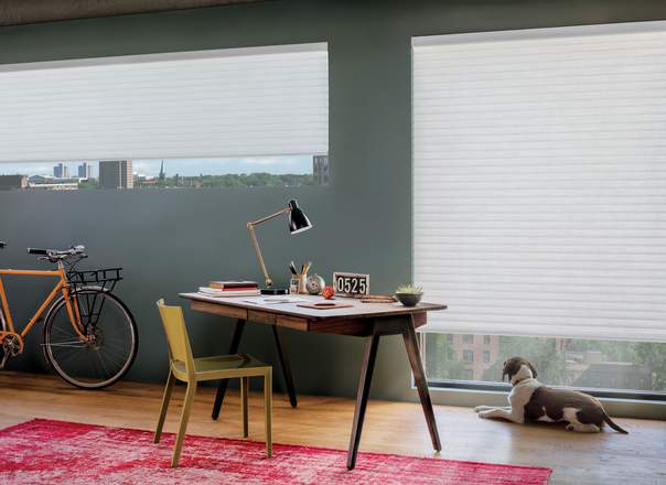 Browse Blinds by Room