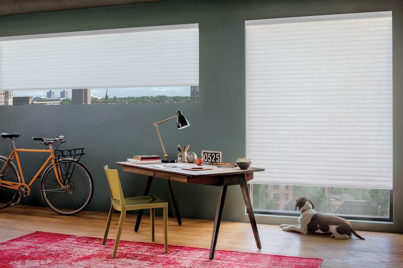 How to dress my office windows?