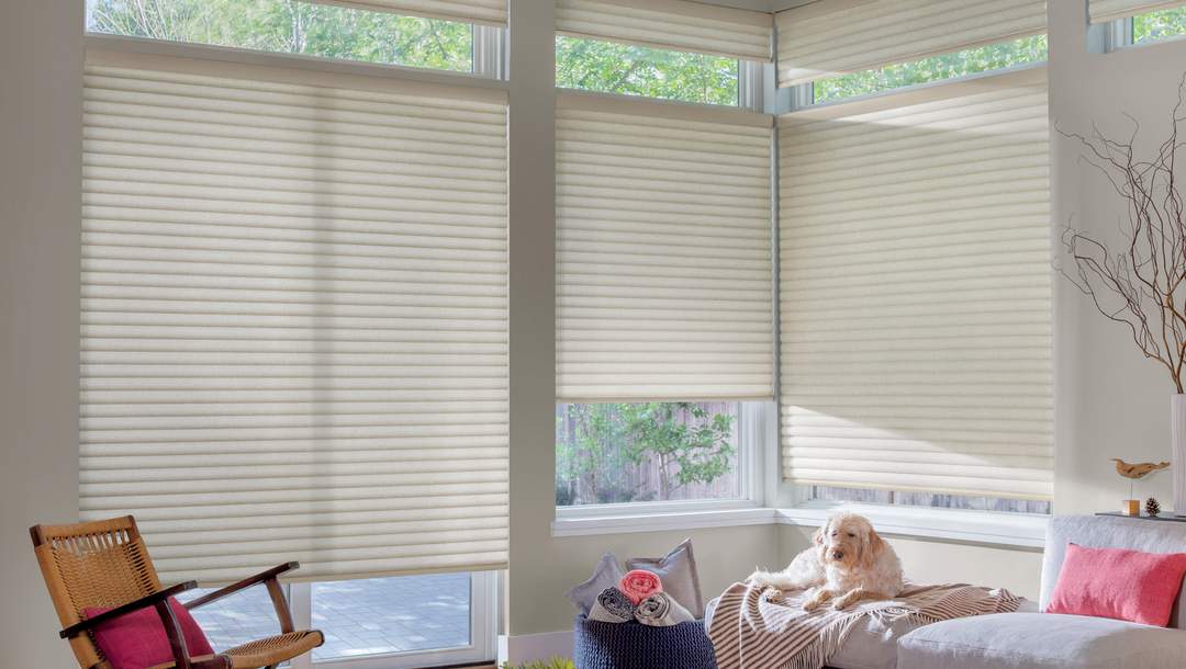 sonnette blinds